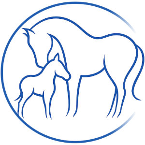 Dr. Richard Fricke Logo