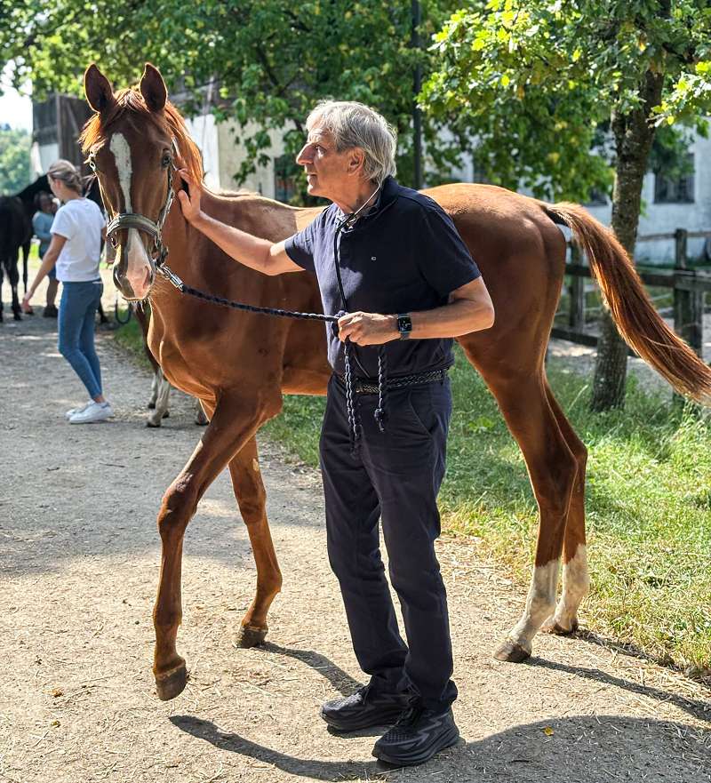 Dr Richard Fricke mit Pferd (7) überarbeitet